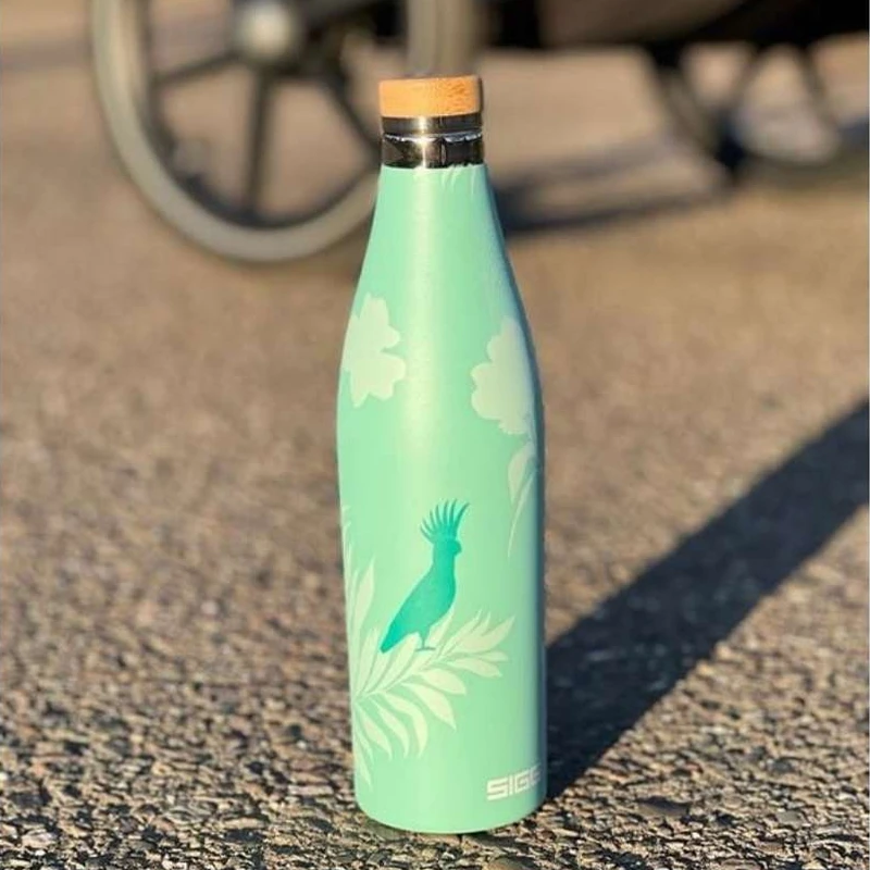 فلاسک سوئیسی فانتزی برند SIGG