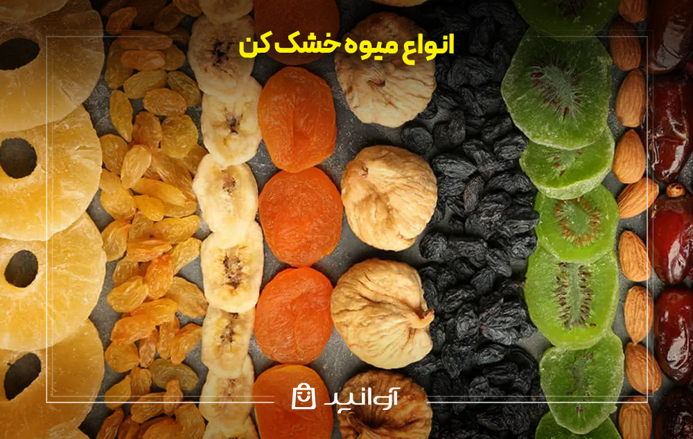 انواع میوه خشک کن