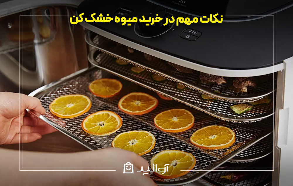 نکات مهم در خرید میوه خشک کن